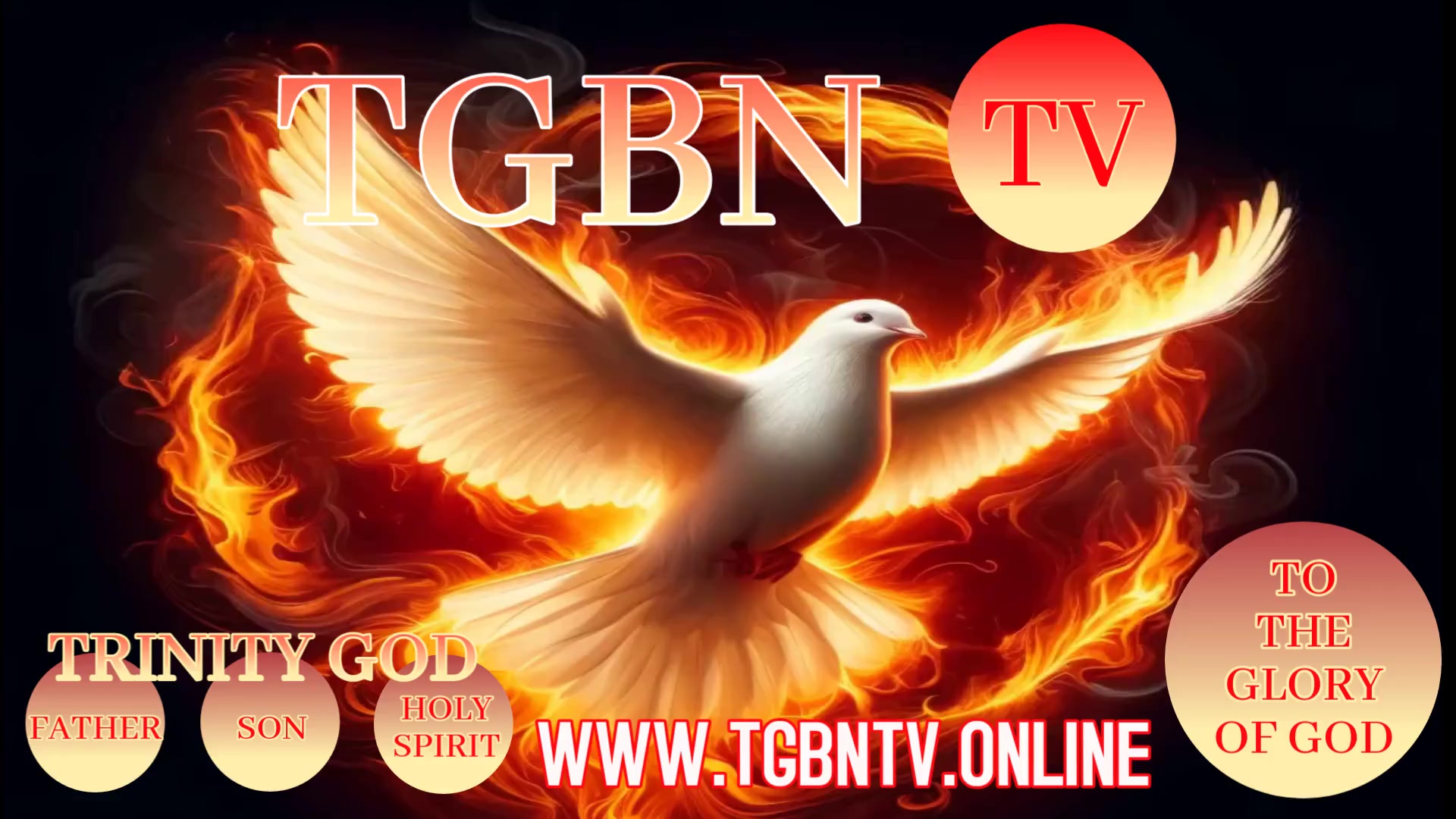 TGBN TV ADV (1) TGBN TV ADV (1)